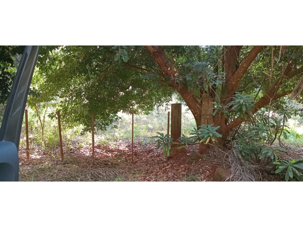 VENDO DOS HECTAREAS EN LA COLINA GARUPA, MISIONES - 1