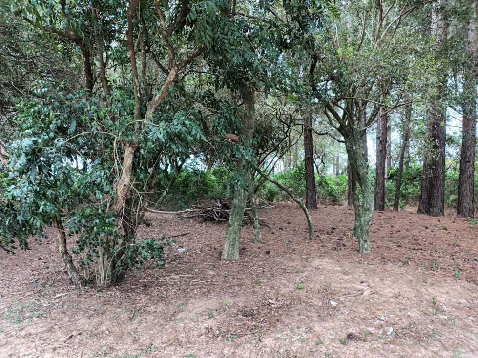 VENDE TERRENO SAN GARA - B° PRIVADO EN ITUZAINGÓ CTES - 3
