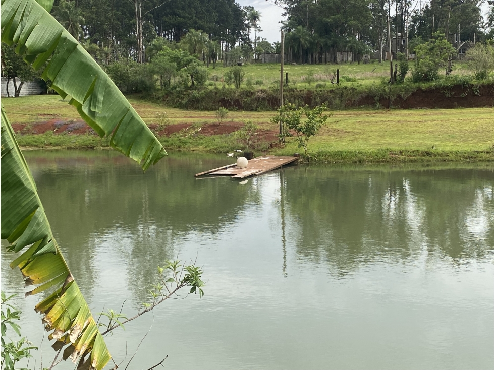 VENDO IMPRESIONANTE GRANJA CON PACU EN POSADAS MNES - 2