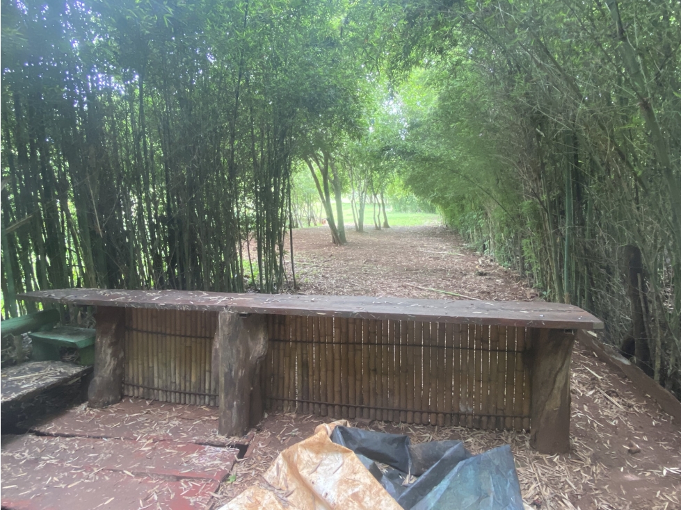 VENDO IMPRESIONANTE GRANJA CON PACU EN POSADAS MNES - 3