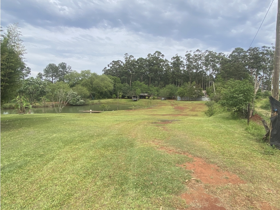 VENDO IMPRESIONANTE GRANJA CON PACU EN POSADAS MNES - 4