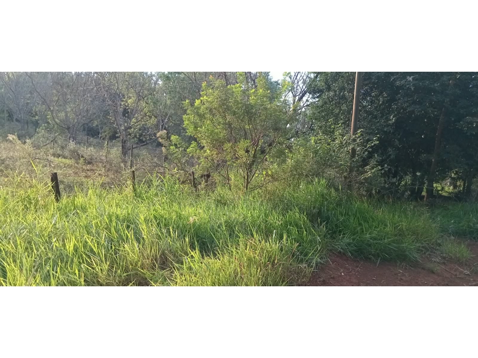 VENDO DOS HECTAREAS EN LA COLINA GARUPA, MISIONES - 5