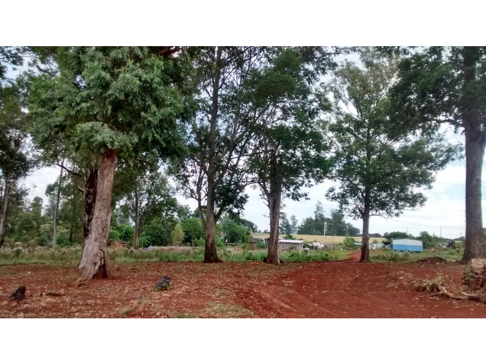 Vendo 1 Hectárea!! Gran Oportunidad!! Posadas- Mnes. - 3