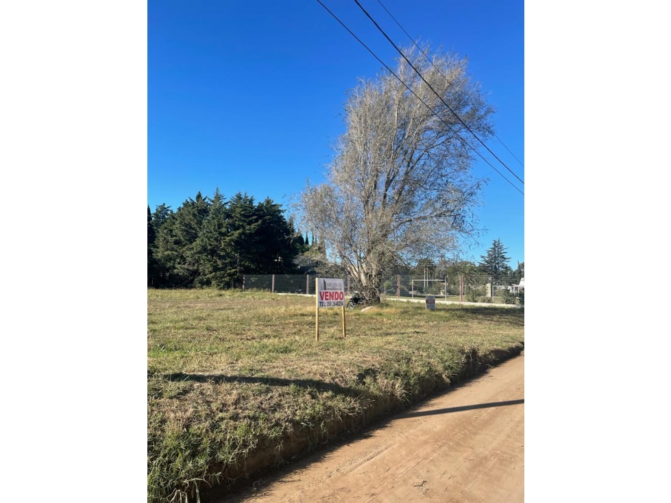 EN VENTA IMPORTANTE LOTE - 2