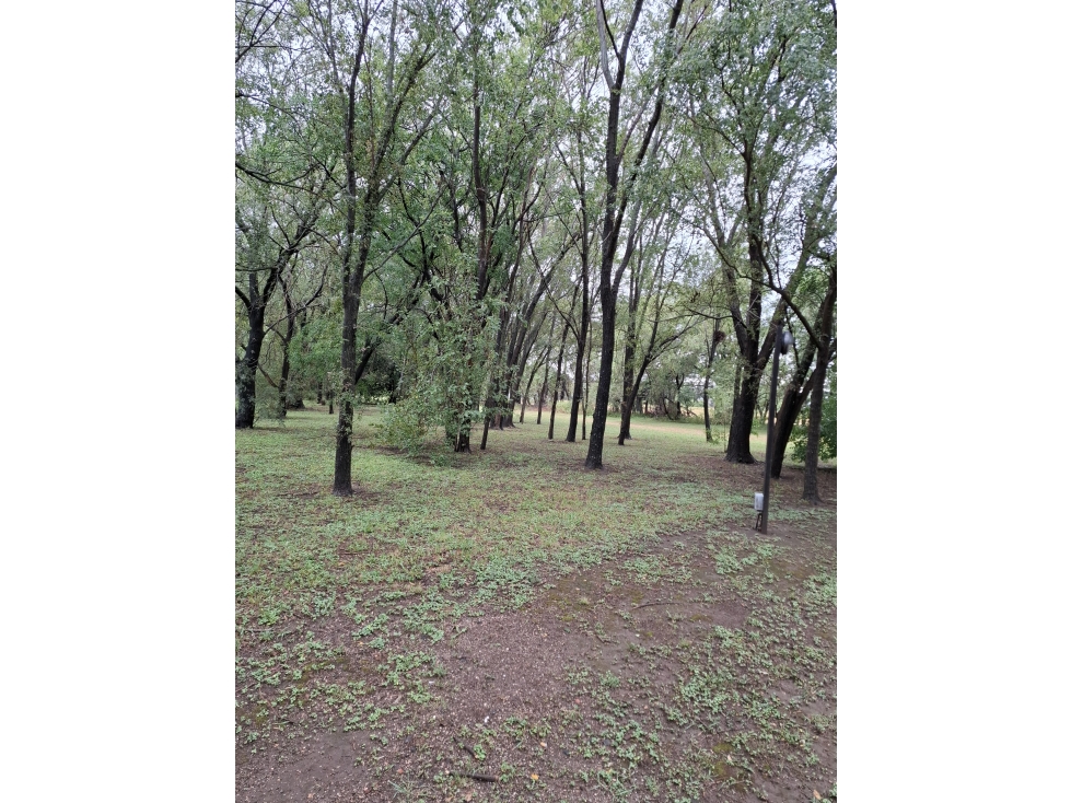 Vendo Lotes loteo Bosque sol de Mayo - 3