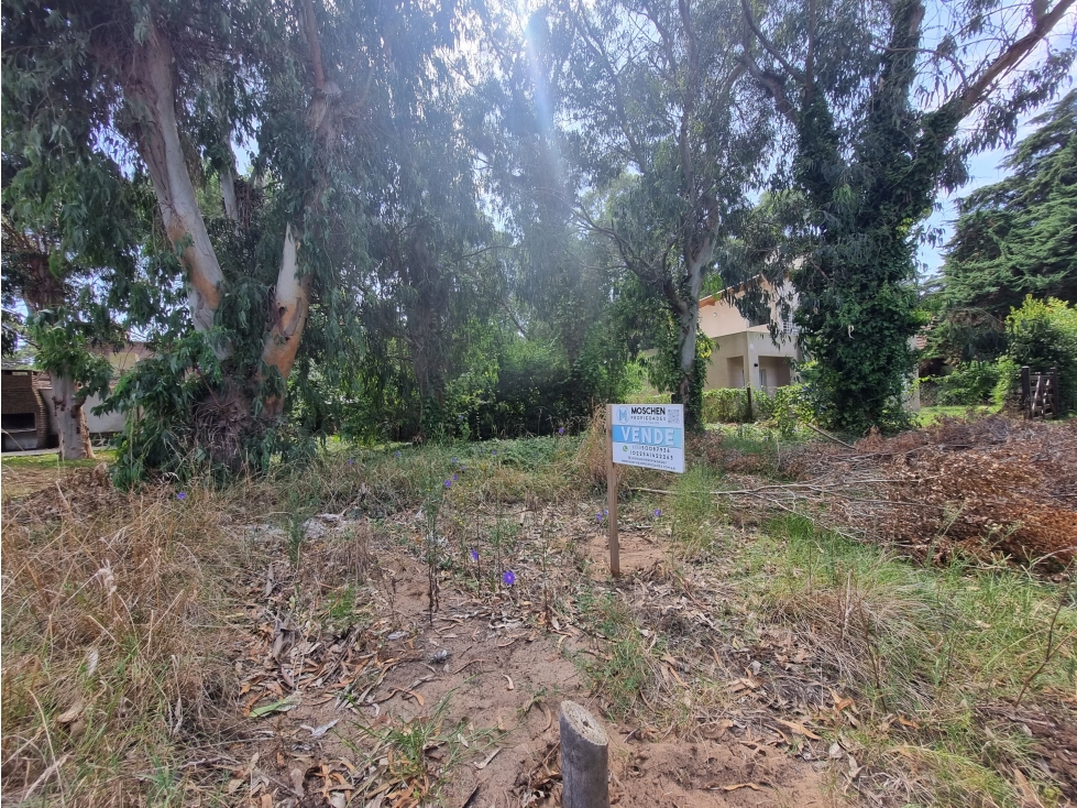LOTE EN VENTA VALERIA DEL MAR CEFIRO Y PINZON - 2