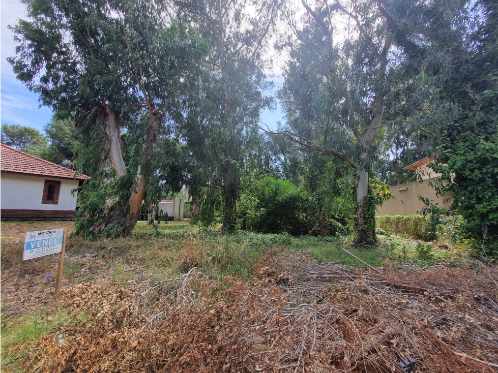 LOTE EN VENTA VALERIA DEL MAR CEFIRO Y PINZON - 3