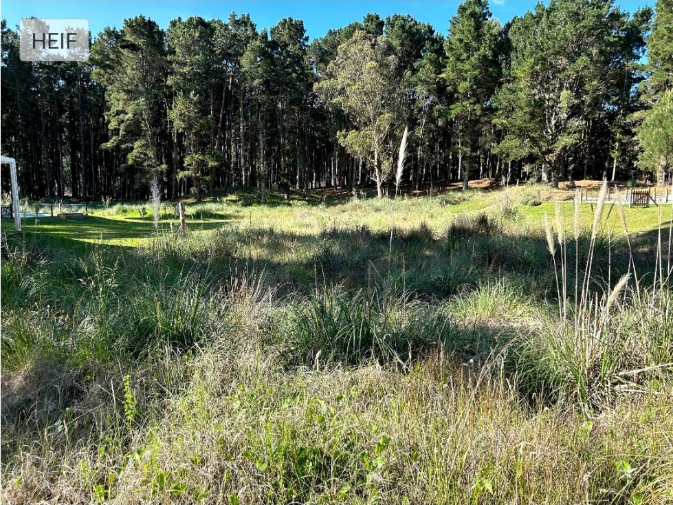 LOTE EN VENTA COSTA ESMERALDA SENDEROS 3 - LOTE 312 - 3