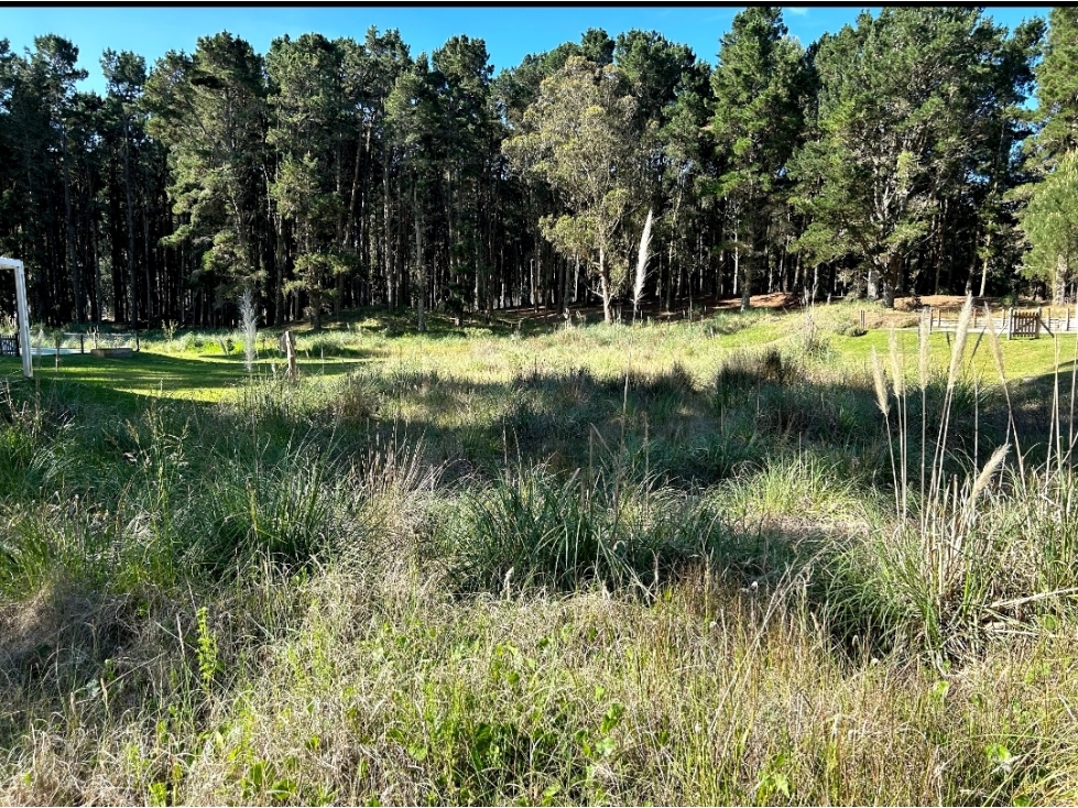LOTE EN VENTA COSTA ESMERALDA SENDEROS 3 - LOTE 312 - 4