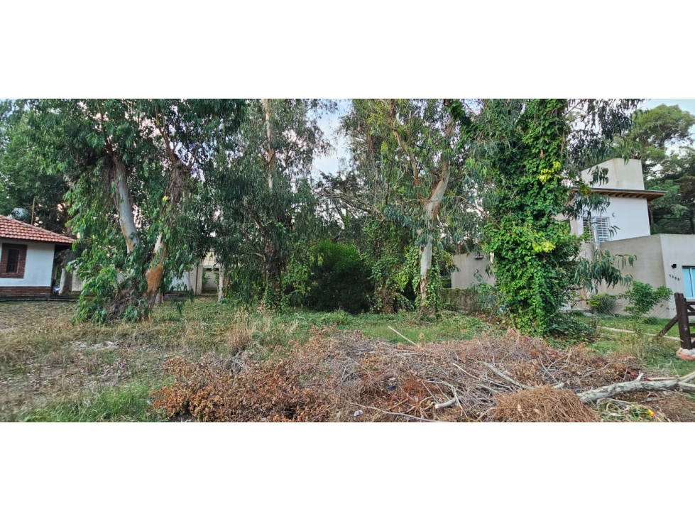 LOTE EN VENTA VALERIA DEL MAR CEFIRO Y PINZON - 6