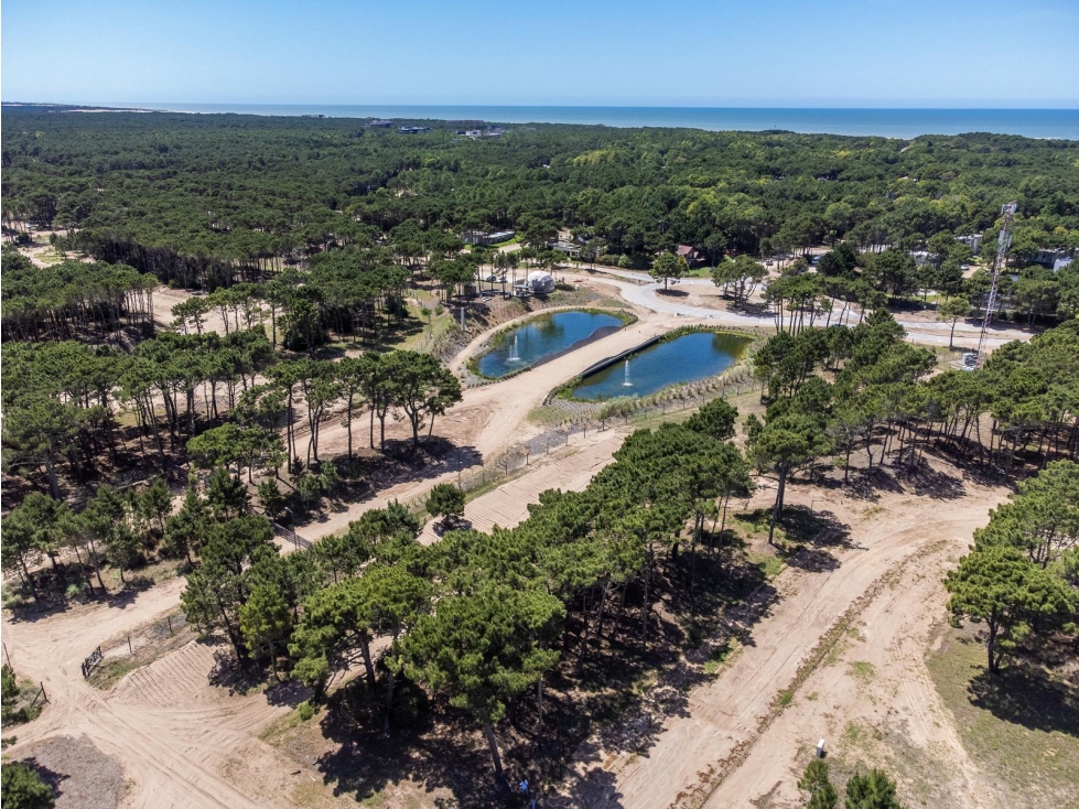 LOTE EN BARRIO BOSQUES - ETAPA N 2 - TAMARISCO