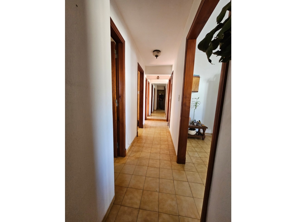 DEPARTAMENTO CON LOCAL Y GALPÓN - 4