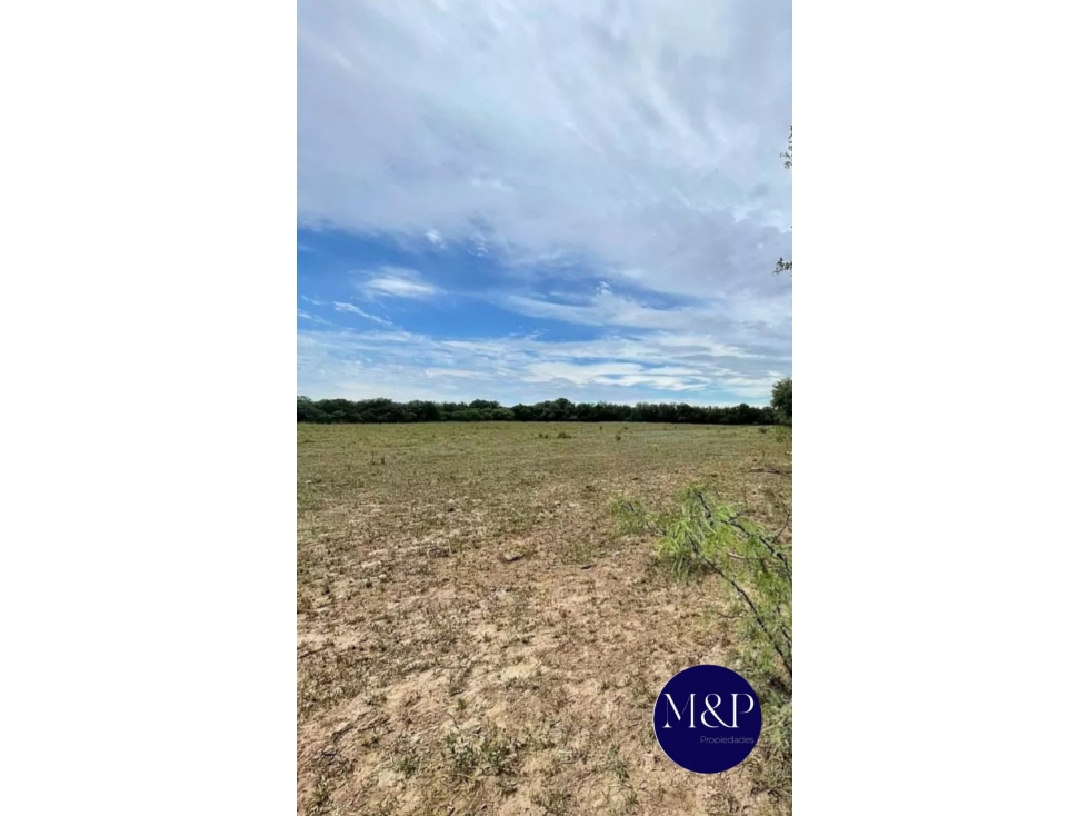 VENTA- CAMPO 258 HAS- TUCLAME - 3