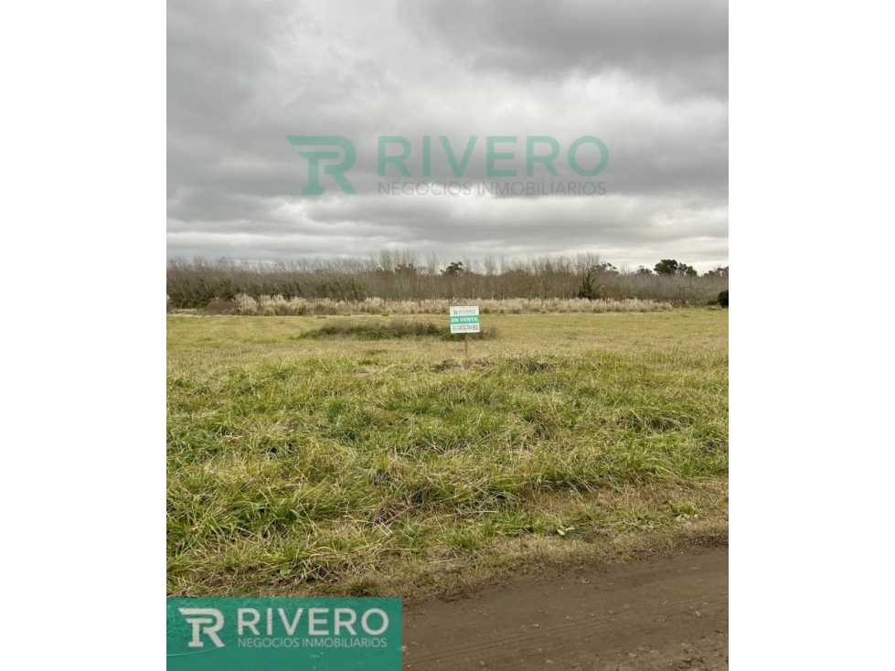 Lote terreno - 2