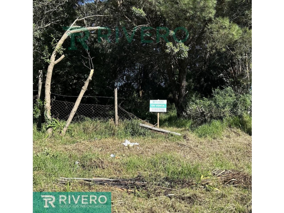Lote terreno