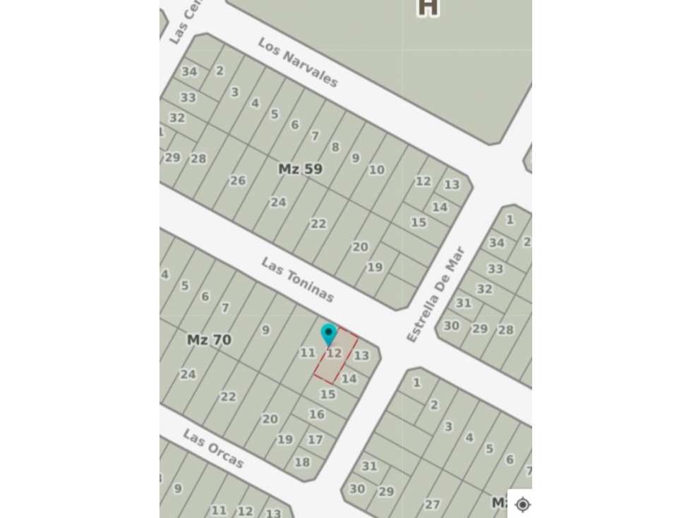 LOTE PLAYA LOS LOBOS — foto 3
