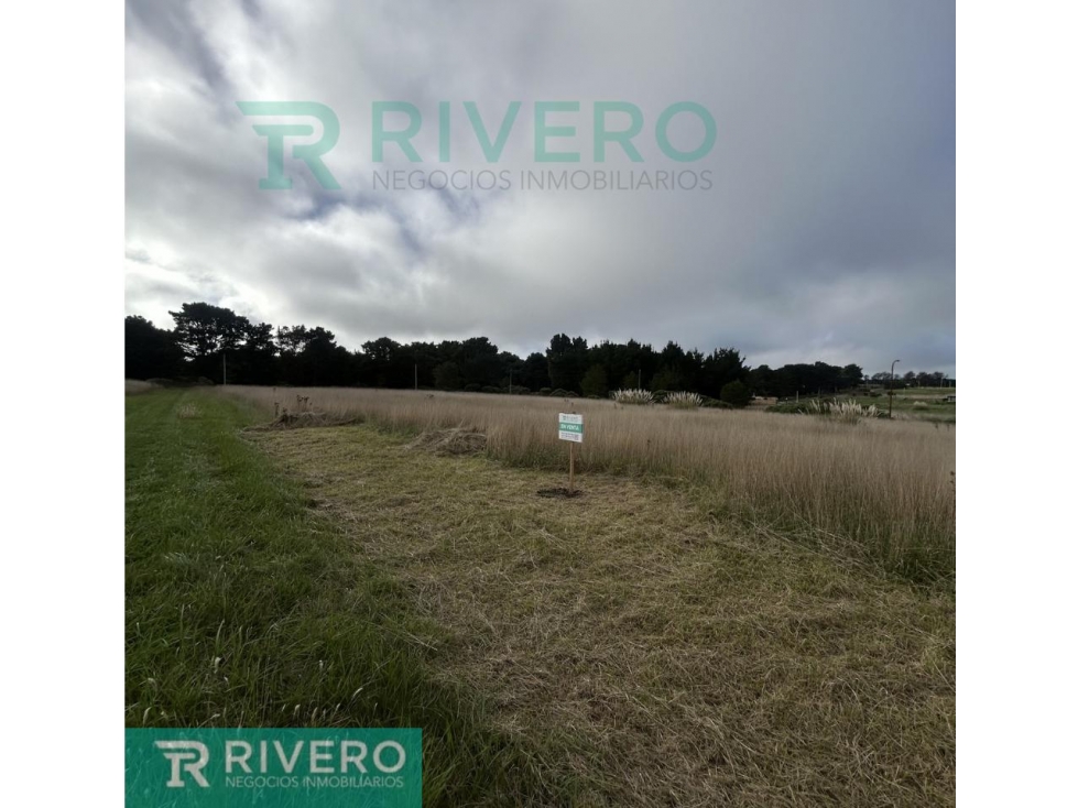 El Marquesado Lote/terreno — foto 3
