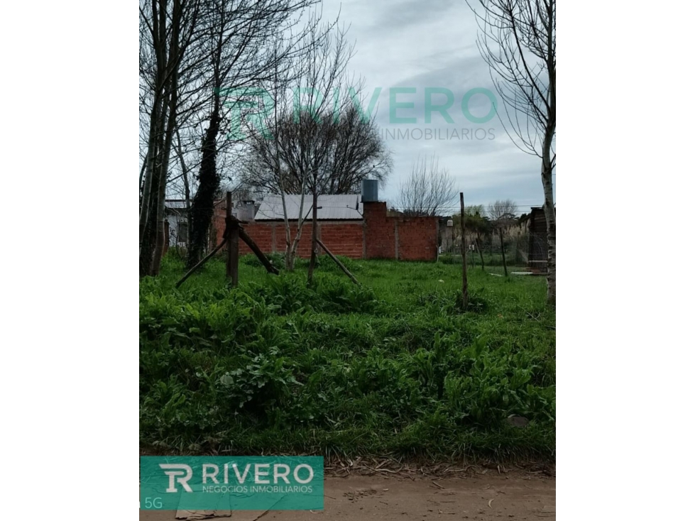 Lote terreno en San Jacinto - 1
