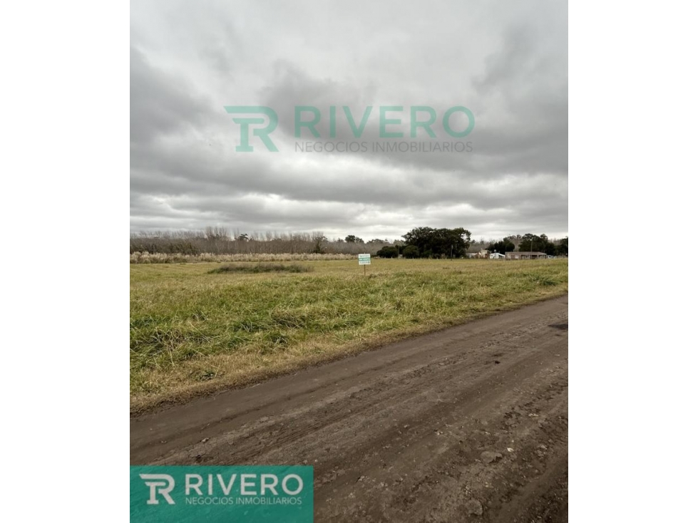 Lote terreno - 4