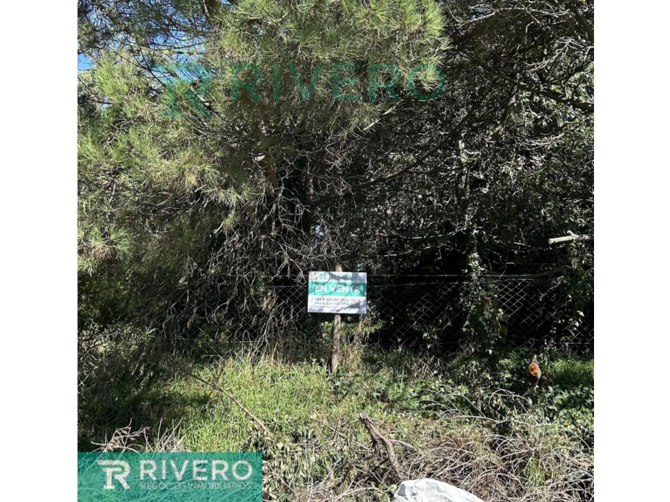 Lote terreno