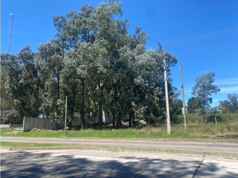 TERRENO 20000 M2 SOBRE AV. USD 180.000