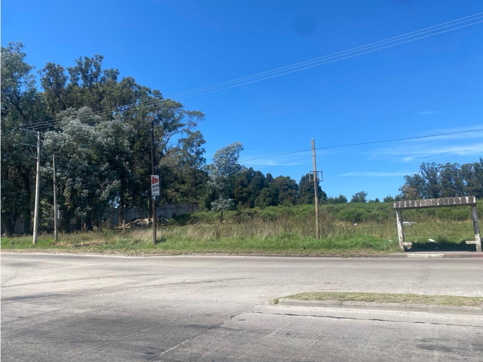 TERRENO 20000 M2 SOBRE AV. USD 180.000 — foto 2