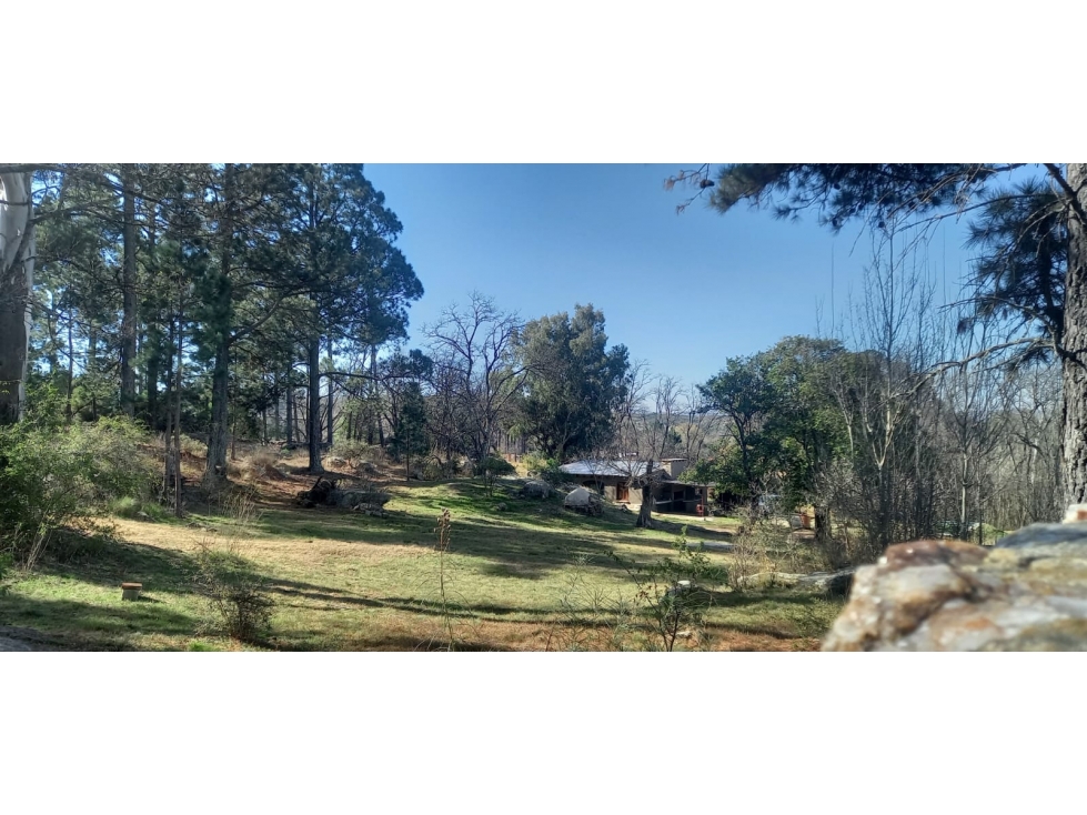 Campo con Arroyo y Casa - 4