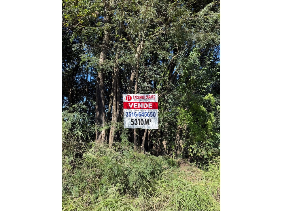 Mejor Precio 5.310 m2 en Villa Esquiu Zona de Quintas C/ Escritura — foto 6