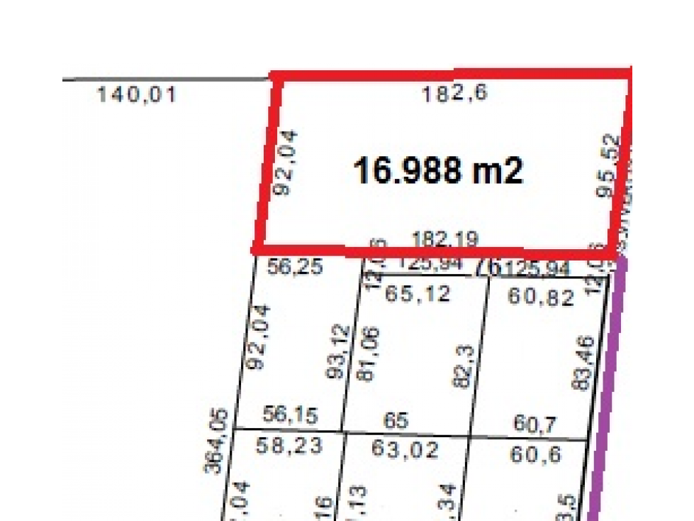 HERMOSO LOTE 16.988 M2 VILLA RETIRO CORDOBA CAPITAL - 2
