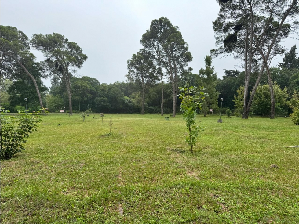 Exclusiva Fracción 7.965 m2 a metros Ruta E-53 ASCOCHINGA CBA - 6