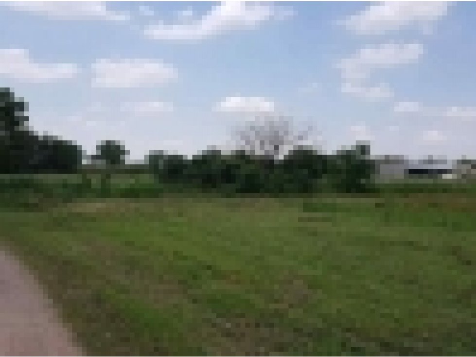 Lote de 7.993 m2 a Metros de Circunvalación — foto 6