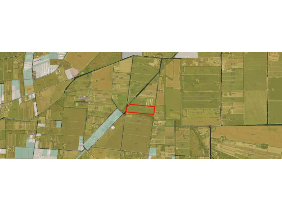 Quinta 9 ha 4.000 m2 Villa Retiro - Cordoba - Cerca Circunvalacion - 3
