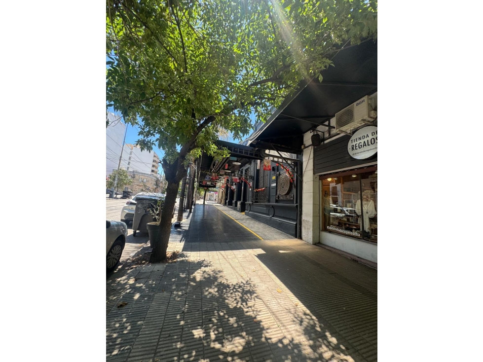 Unica! Casona Historica con Jardin Oasis en plena zona Comercial - 6