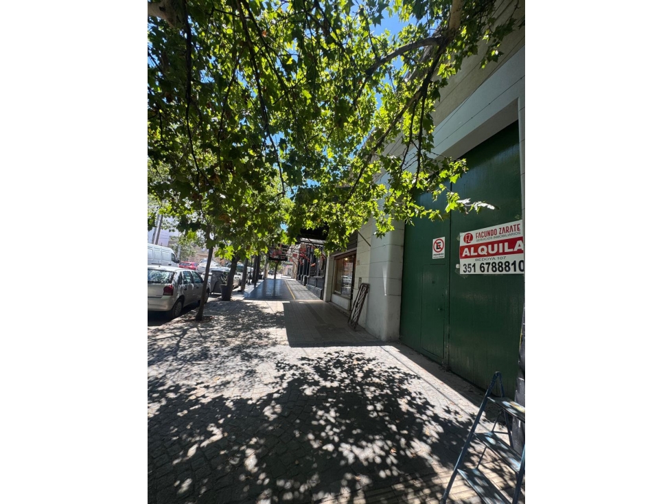 Unica! Casona Historica con Jardin Oasis en plena zona Comercial - 4