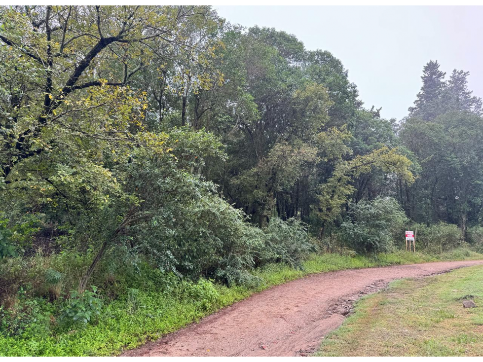 Exclusiva Fracción 7.965 m2 a metros Ruta E-53 ASCOCHINGA CBA - 5