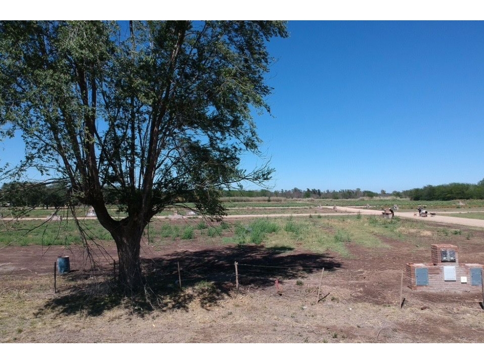 NUEVO LOTEO EN SANTA ELVIRA — foto 6