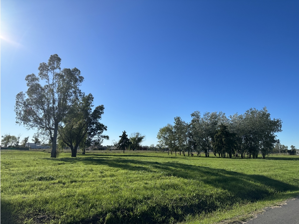 LOTE EN LOS ALAMOS I — foto 6