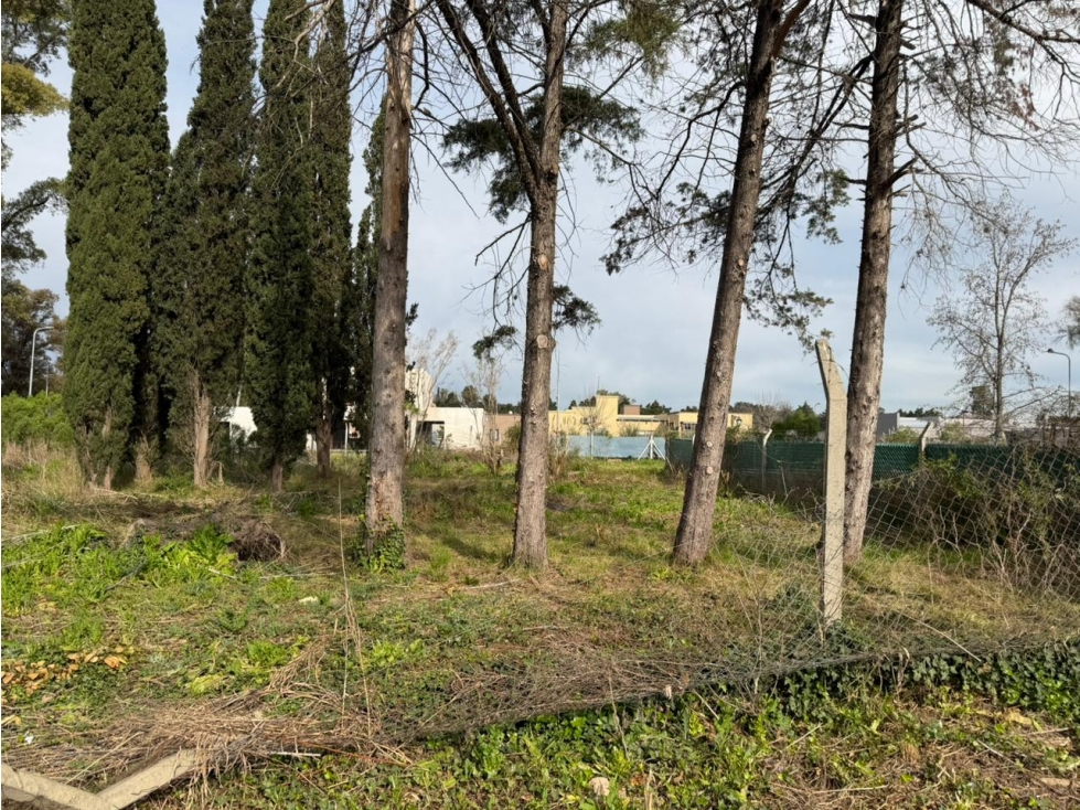 LOTE EN VENTA EN EL BARRIO JUAN XXIII — foto 6
