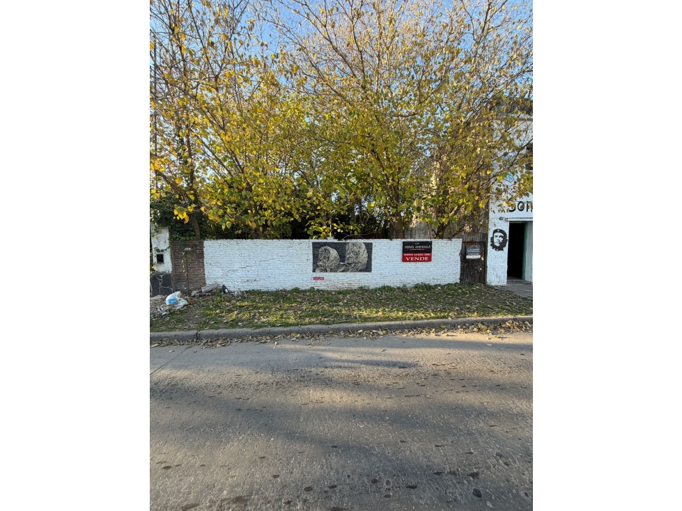 VENTA LOTE EN CALLE ITUZAINGO AL 100 - 2