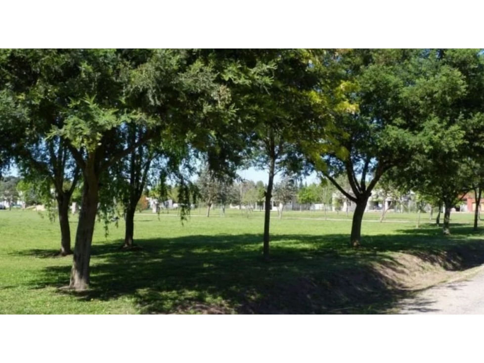 VENTA LOTE B LAS CORTADERAS — foto 3