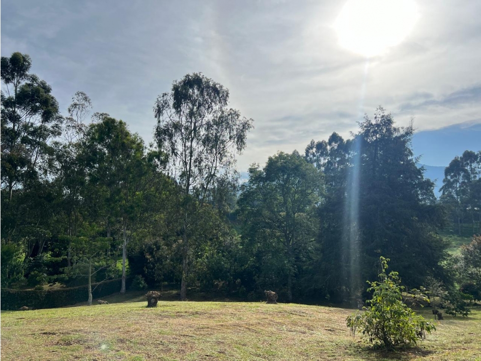 Lote en venta La Ceja