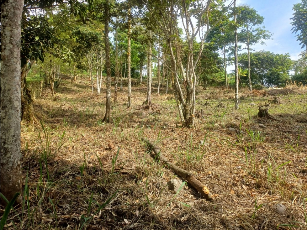 Lote en Venta - Fredonia, Antioquia de 3750m² - 1