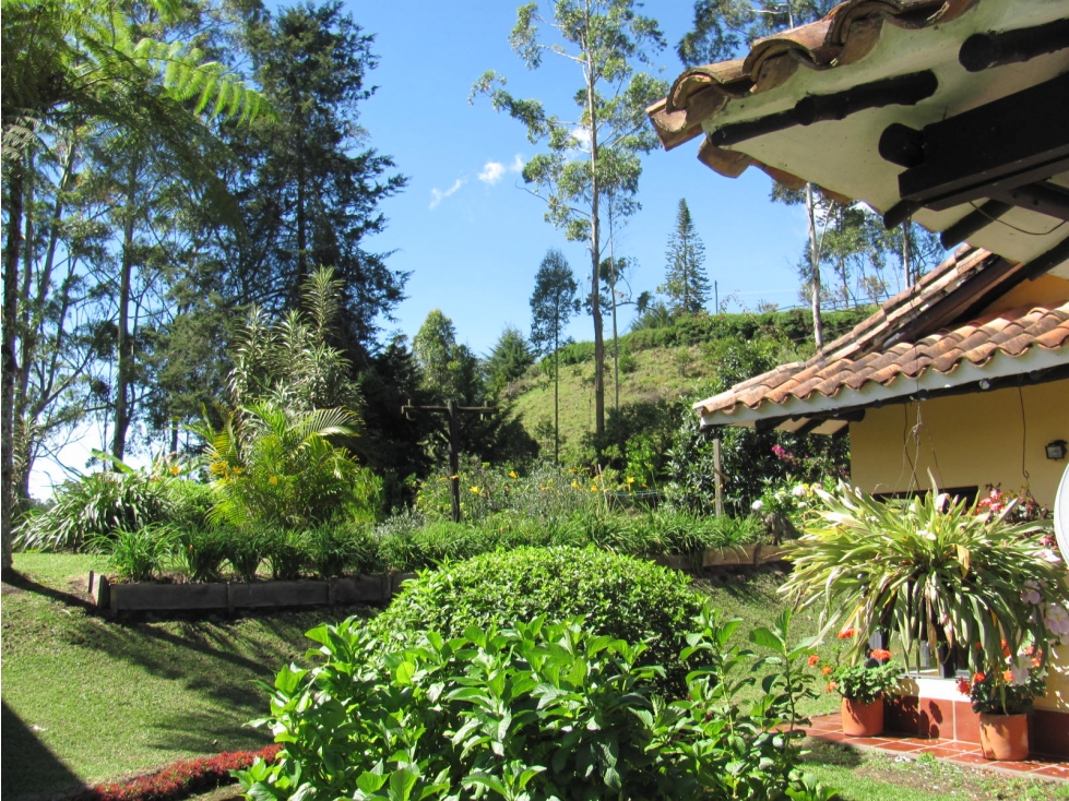 Casa para renta via san Antonio -la Ceja - 3
