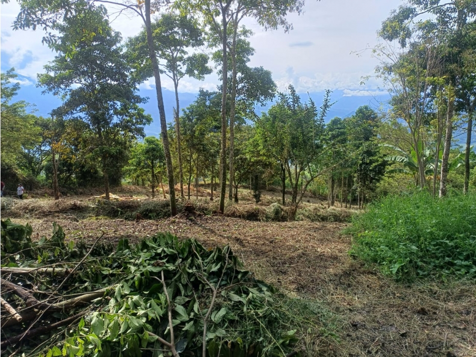 Lote en Venta - Fredonia, Antioquia de 3750m² - 2