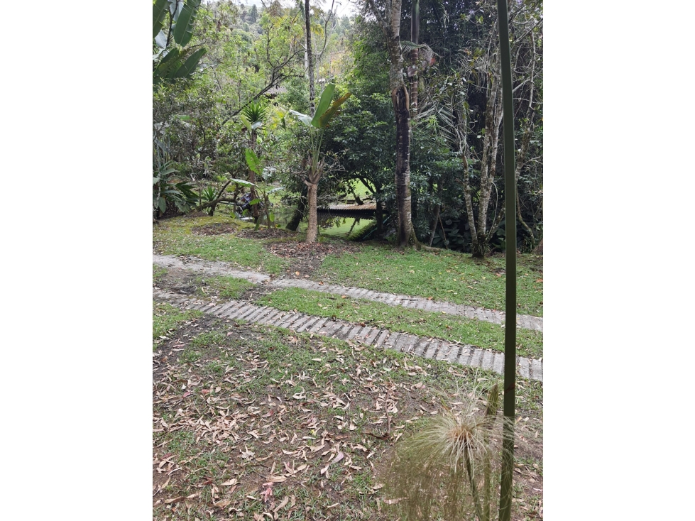 Cabaña en Renta Vereda playa Rica -Rionegro — foto 4