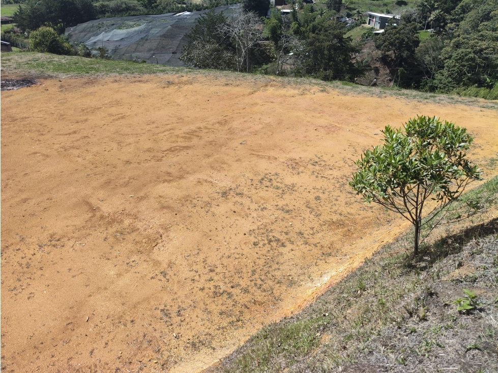 Lote en Venta Via Rionegro -La Ceja — foto 3