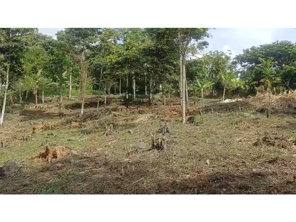 Lote en Venta - Fredonia, Antioquia de 3750m² - 3