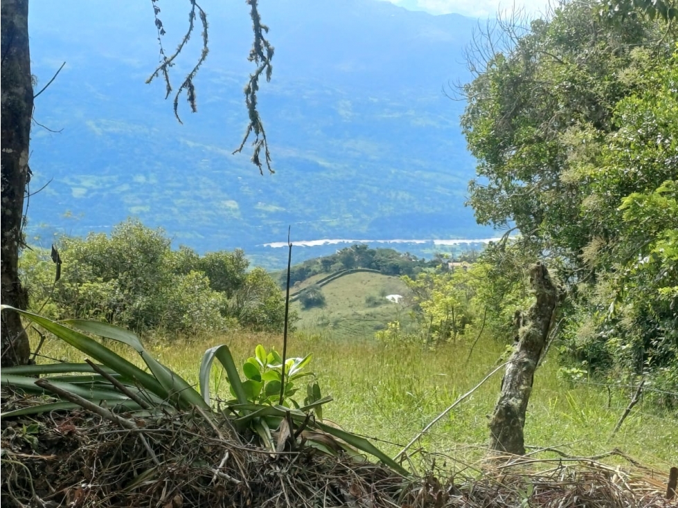 Lote en Venta - Fredonia, Antioquia de 3750m² - 5