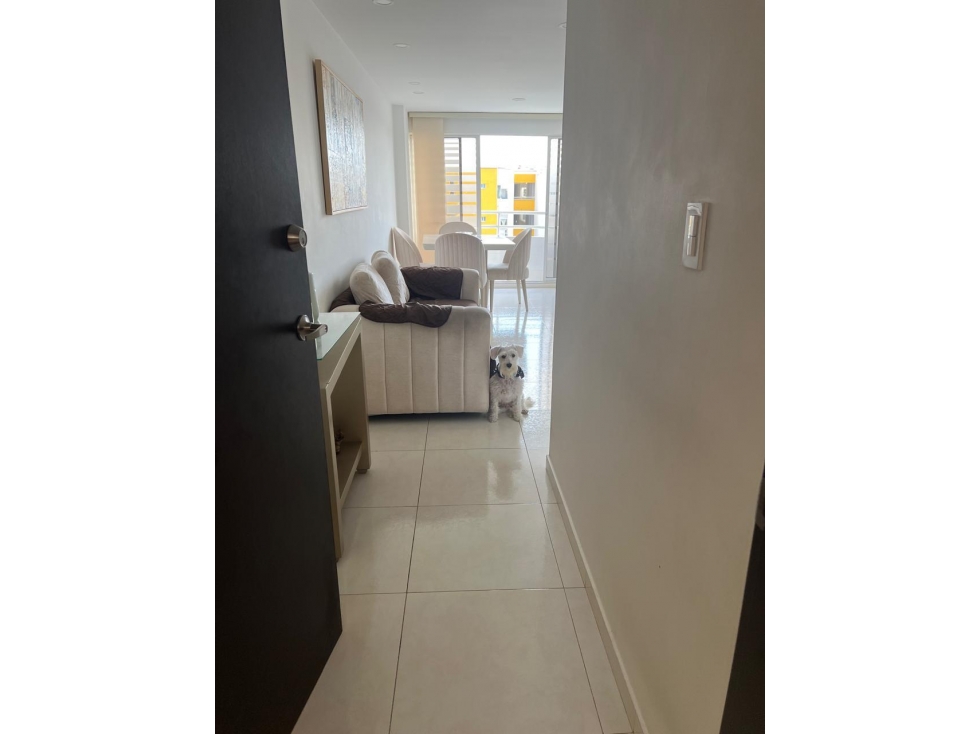 APARTAMENTO EN VENTA EN LA CONCEPCION — foto 2