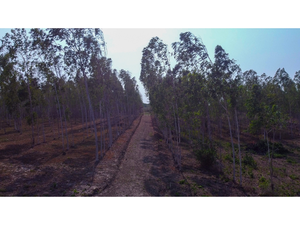 LOTE EN VENTA EN BARANOA - 2
